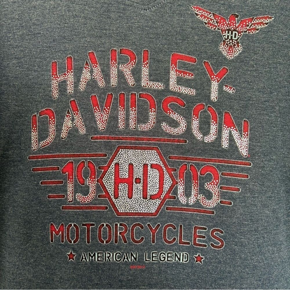 Harley-Davidson Chattanooga Small Long-Sleeve T-shirt Heather Blue, Red, Silver - Picture 4 of 8